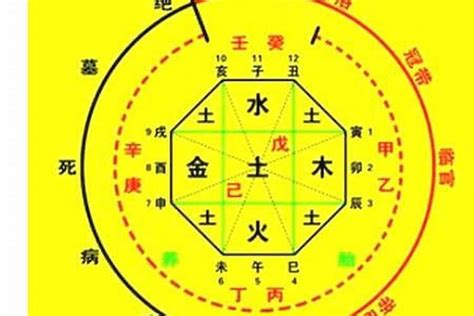 如何看喜用神|八字喜用神是什么 八字喜用神如何确定